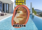 乐动体育登录-电竞世界杯：天胡开局，草草收场！MKOI击败CFO，晋级八