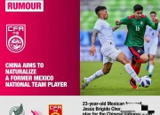 乐动体育平台-官方巴西足协已向FIFA递交举办2029年世俱杯的申请