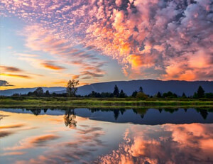 阿根廷女足斩获南美洲锦标赛金牌