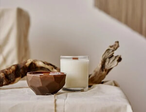 灰熊接连取胜，波格丹诺维奇欣欣向荣精准操控球权