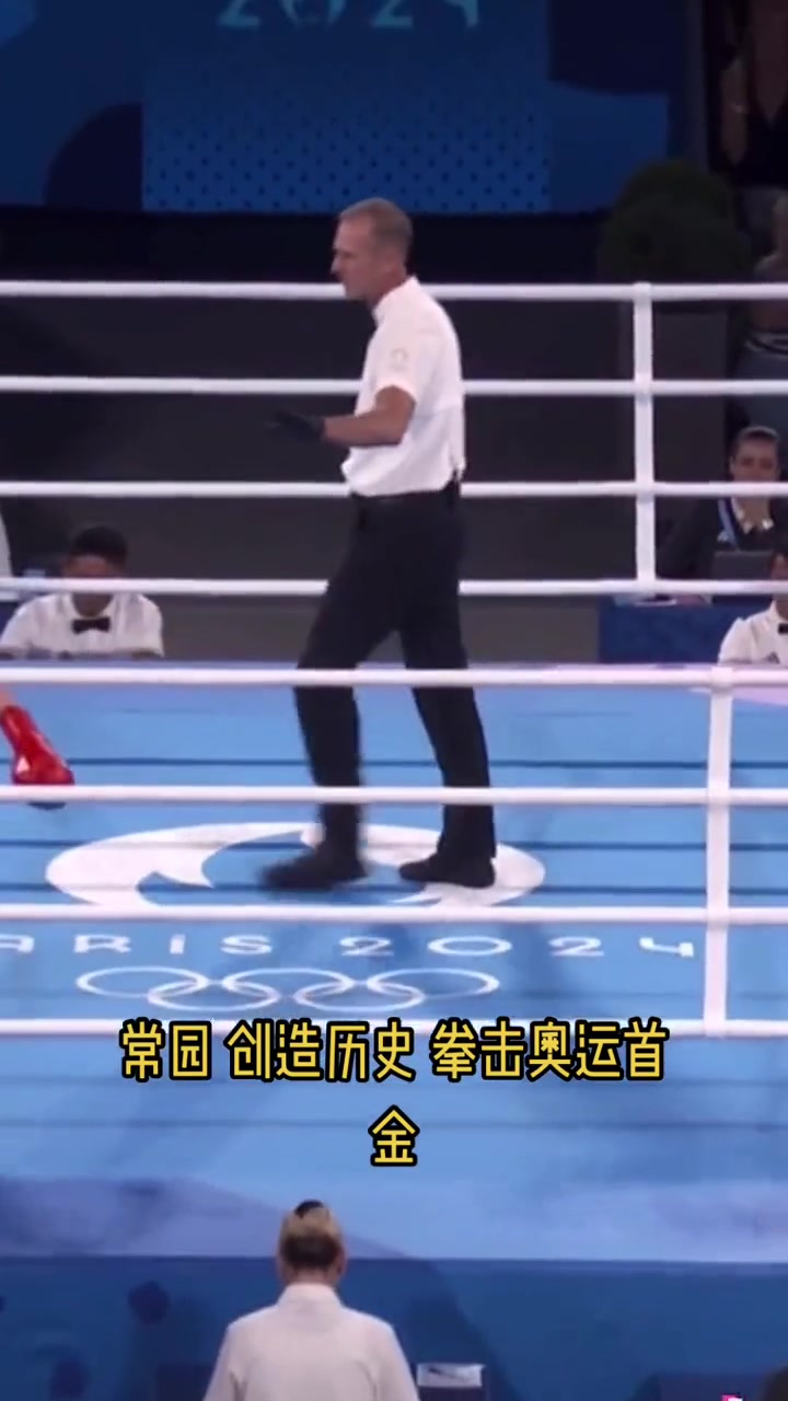 拳击选手再现实力，金牌梦想终圆的简单介绍
