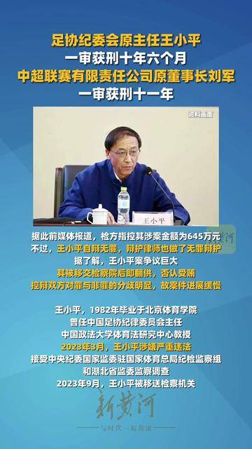 足协原纪律委员会主任王小平一审获刑10年6个月+罚金70万