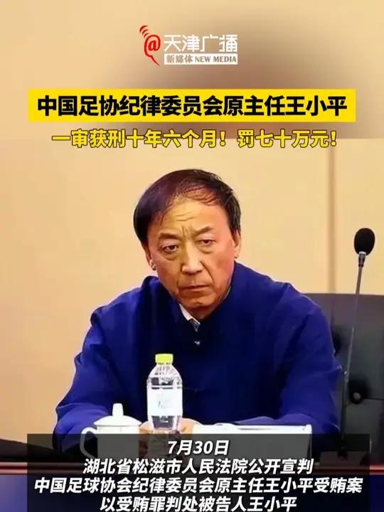 足协原纪律委员会主任王小平一审获刑10年6个月+罚金70万